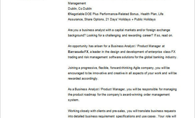 Business Analyst Jo/B Description Template 9 Free Word Regarding Business Analyst Documents Templates