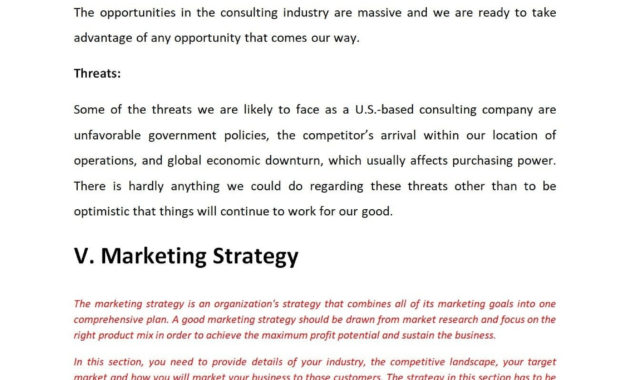 Business Consulting Company Business Plan Template Sample In Business Plan Template For Consulting Firm