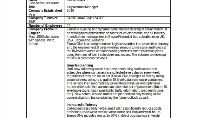 Business Profile Templates 16 Free Word Excel Pdf Throughout Free Business Profile Template Download