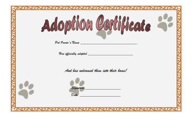 Cat Adoption Certificate Template 9 Best Ideas With Stuffed Animal Birth Certificate Templates