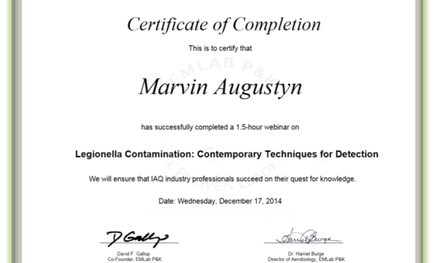 Certificate Examples Simplecert Throughout Ceu Throughout Ceu Certificate Template