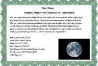 Certificate Of Authenticity Wording Printable Receipt In Certificate Of Authenticity Templates