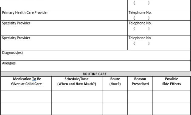 Child Care Plan Template Room Surf For Daycare Business Plan Template Free Download