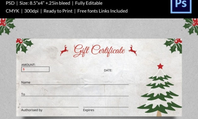 Christmas Gift Certificate Templates 21 Psd Format Intended For Christmas Gift Certificate Template Free Download