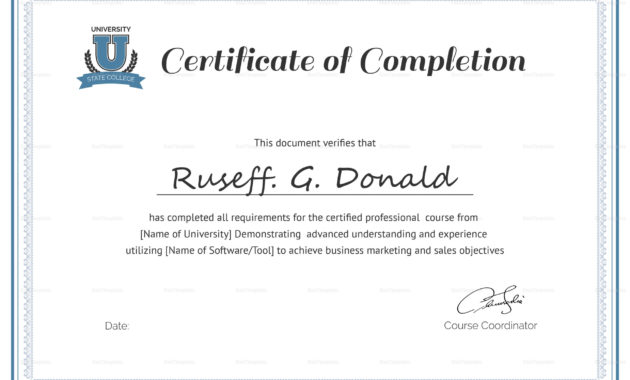 Class Completion Certificate Template Professional Throughout Certification Of Completion Template