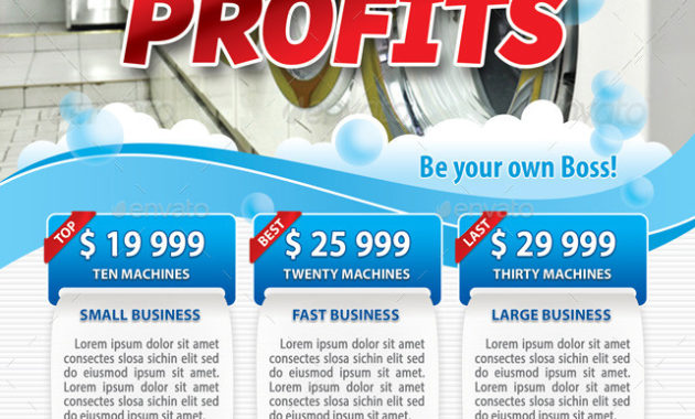 Coin Laundry Business Flyer Template 11421Min Within Free Laundromat Business Plan Template