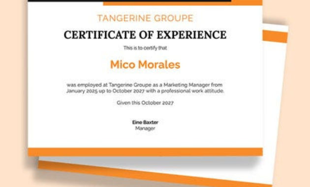 Company Job Experience Certificate Template Word Intended For Certificate Of Experience Template