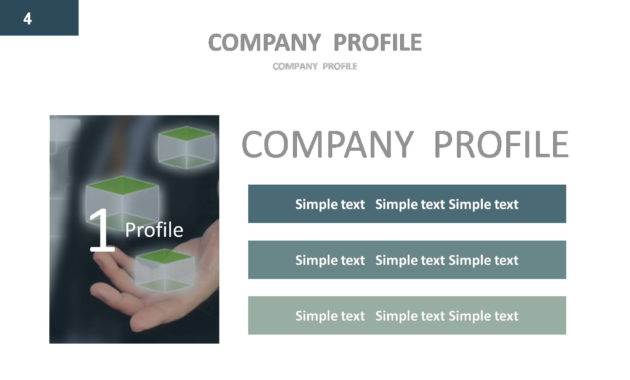 Company Profile Google Slides Presentation Template Within Business Profile Template Ppt