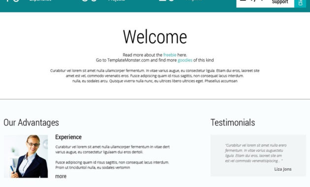 Consulting Firm Free Html Template Free Templates Online Within Estimation Responsive Business Html Template Free Download