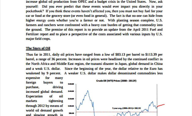Costofproductionreportpdftemplatefreedownload In Printable Cost Report Template