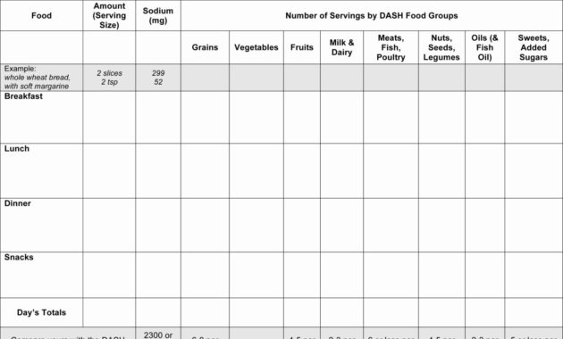 Diabetes Food Log Spreadsheet Regarding Blood Sugar Log Regarding Diabetes Record Log Template