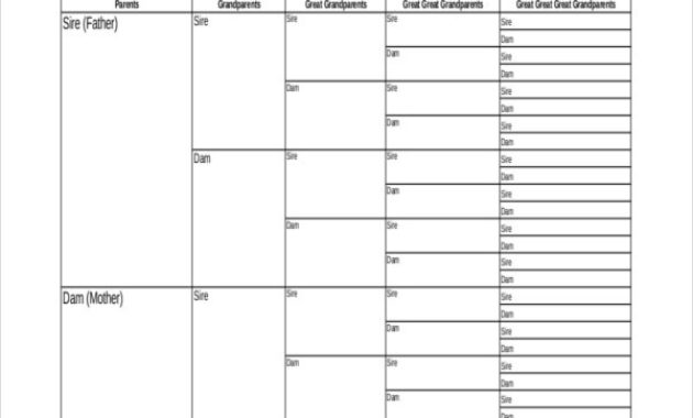 Dog Certificate Template 13 Pdf Ai Word Psd Within Dog Obedience Certificate Template Free 8 Docs
