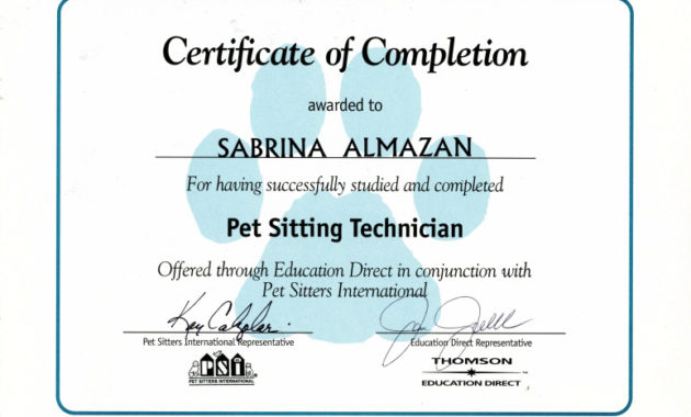 Dog Training Certificate Of Completion Why My Dog Is With Amazing Dog Training Certificate Template