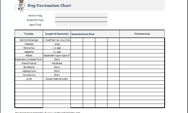 Dog Vaccination Certificate Template Templates Example With Regard To Awesome Certificate Of Vaccination Template