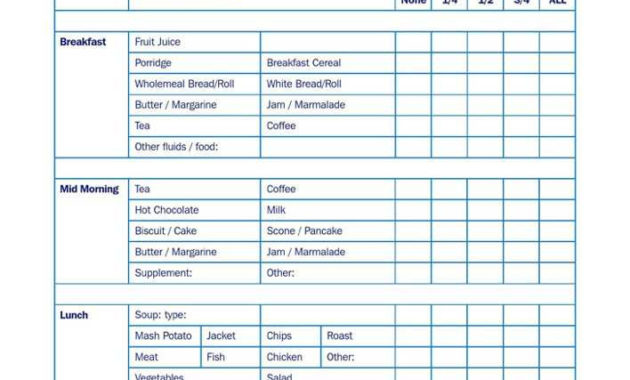 Download Food Record Chart For Care Homes For Free For Printable Home Health Care Daily Log Template
