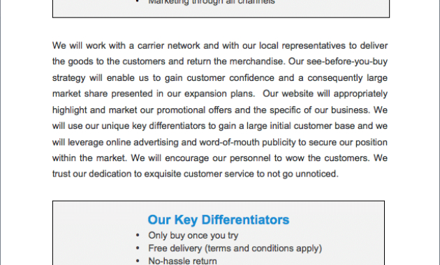 Ecommerce Online Fashion Boutique Business Plan Sample For Ecommerce Website Business Plan Template