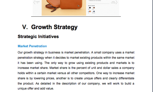 Ecommerce Online Fashion Boutique Business Plan Sample In Ecommerce Website Business Plan Template