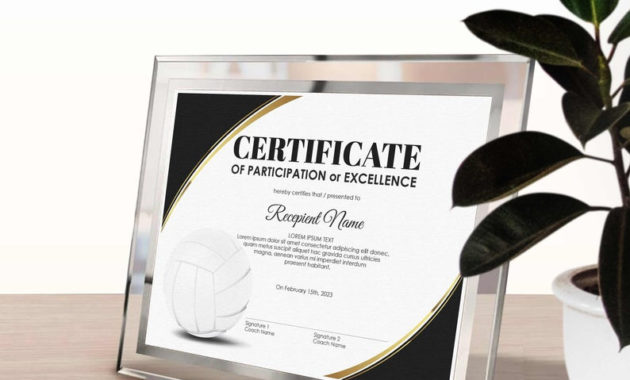 Editable Volleyball Award Certificate Template Printable With Volleyball Award Certificate Template Free