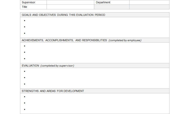 Employee Evaluation Form Employee Performance Evaluation Intended For Business Process Evaluation Template