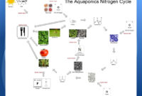 Entrepreneurial Resources Mpx9 Spring 2013 Intended For Aquaponics Business Plan Templates