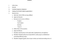 Example Organizational Board Of Director Meeting Agenda Within Free Board Of Directors Meeting Agenda Template
