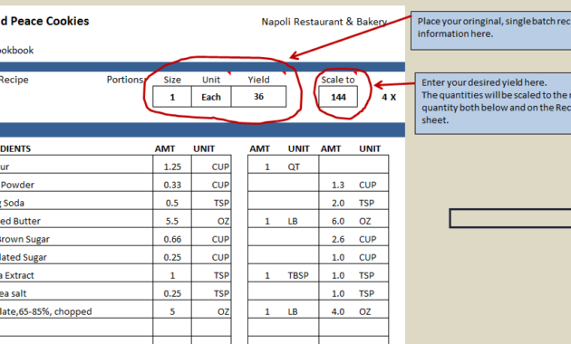 Excel Recipe Template For Chefs Chefs Resources In Cost Card Template