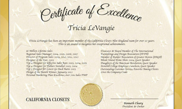 Free 17 Certificate Of Excellence Templates In Ai With Certificate Of Academic Excellence Award