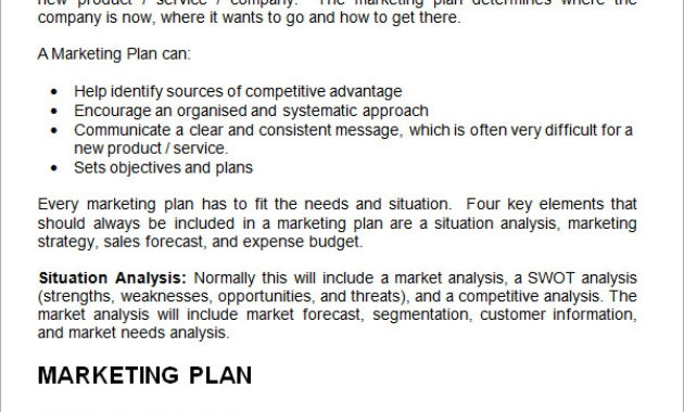 Free 19 Sample Marketing Plan Templates In Google Docs With Marketing Plan For Small Business Template