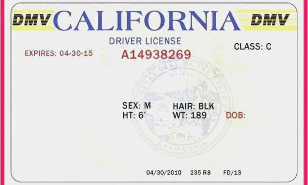Free 50 California Drivers License Template Sample Free Inside Fake Business License Template