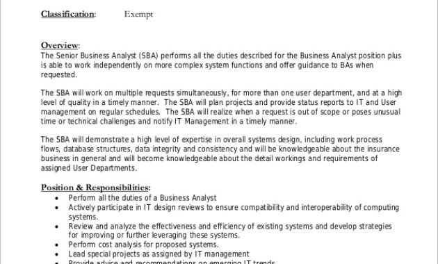 Free 7 Sample Business Analyst Job Description Templates With Regard To Business Analyst Documents Templates