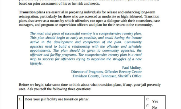 Free 9 Sample Transition Plan Templates In Pdf Ms Word Intended For Business Process Transition Plan Template