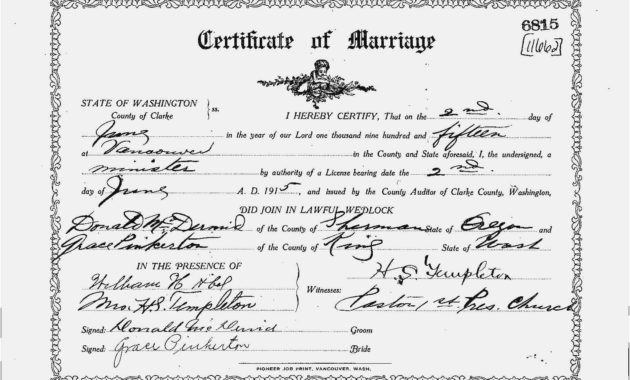 Free Collection 53 Marriage Certificate New Free Throughout South African Birth Certificate Template