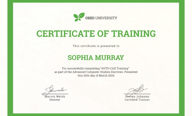 Free Computer Training Certificate Template In Psd Ms Within Amazing Training Course Certificate Templates