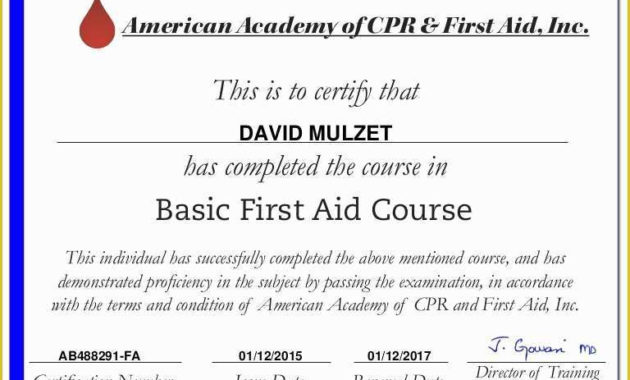 Free Cpr Card Template Of 12 Aha Cpr Card Template Wptej Regarding First Aid Certificate Template Free