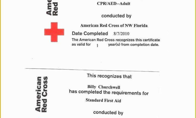 Free Cpr Card Template Of Printable Cpr Card 13 Ideas To Inside Quality First Aid Certificate Template Free