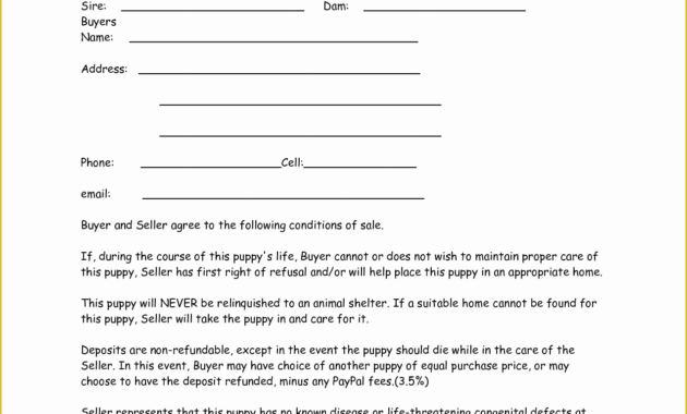 Free Dog Training Contract Template Of New Page 8 With Regard To Amazing Dog Obedience Certificate Template Free 8 Docs