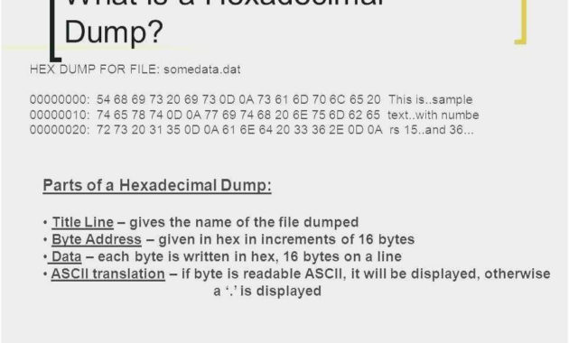 Free Download 54 Smugmug Templates Free Download With Summer Camp Certificate Template