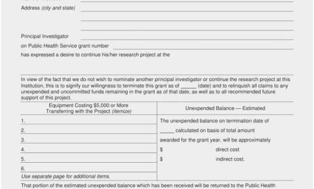 Free Download 56 Birth Certificate Translation Template For Uscis Birth Certificate Translation Template