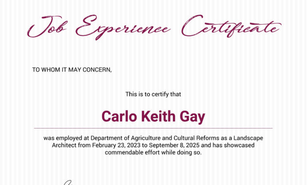 Free Job Experience Certificate Template In Adobe Inside Quality Good Job Certificate Template