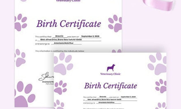 Free Pet Birth Certificate Template Word Doc Psd With Regard To Printable Pet Birth Certificate Templates Fillable