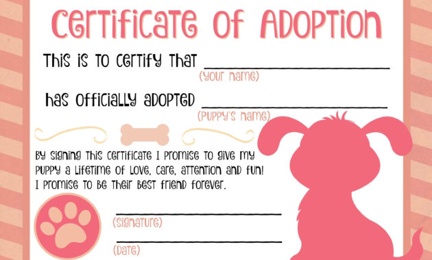 Free Printable Stuffed Animal Adoption Certificate Free With Regard To Child Adoption Certificate Template Editable