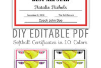 Free Softball Certificate Templates Business Plan Templates With Regard To Printable Printable Softball Certificate Templates