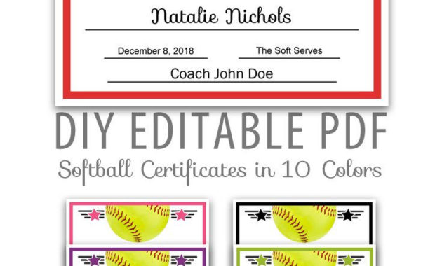 Free Softball Certificate Templates Business Plan Templates With Regard To Printable Printable Softball Certificate Templates