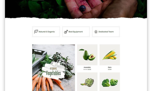 Free Website Template For Food Delivery Intended For Food Delivery Business Plan Template