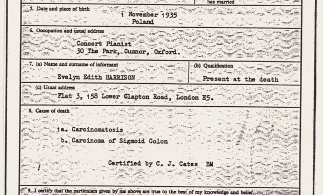 German Birth Certificate Template Carlynstudio Pertaining To Printable South African Birth Certificate Template