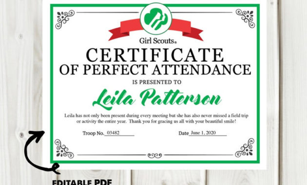 Girl Scout Perfect Attendance Certificate/Award Printable Throughout Perfect Attendance Certificate Template Editable