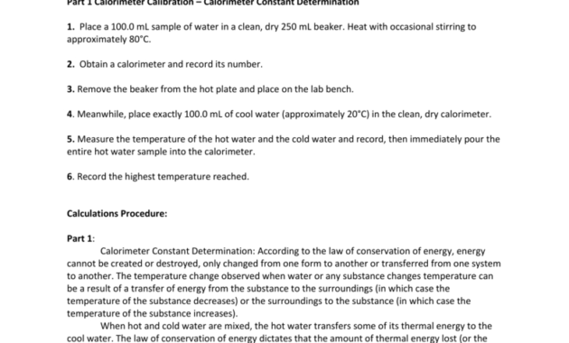 Hand Warmer Lab Template With Quality Water Damage Drying Log Template