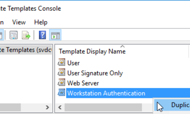 How To Create And Manage Windows Ssl Certificate Templates Within Best Workstation Authentication Certificate Template