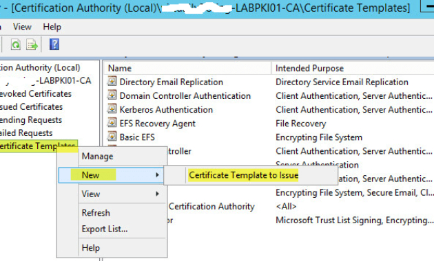 How To Deploy Active Directory Certificate Services On For Domain Controller Certificate Template