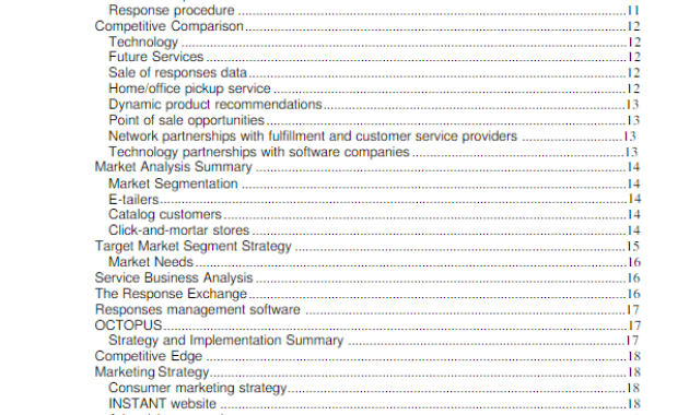 How To Write An Ecommerce Business Plan For Your Startup With Ecommerce Website Business Plan Template